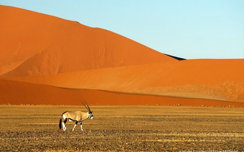 Visit Namibia Desert on an African Adventure Travel