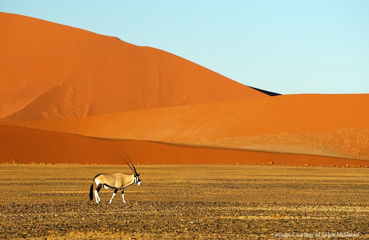 Visit Namibia Desert on an African Adventure Travel