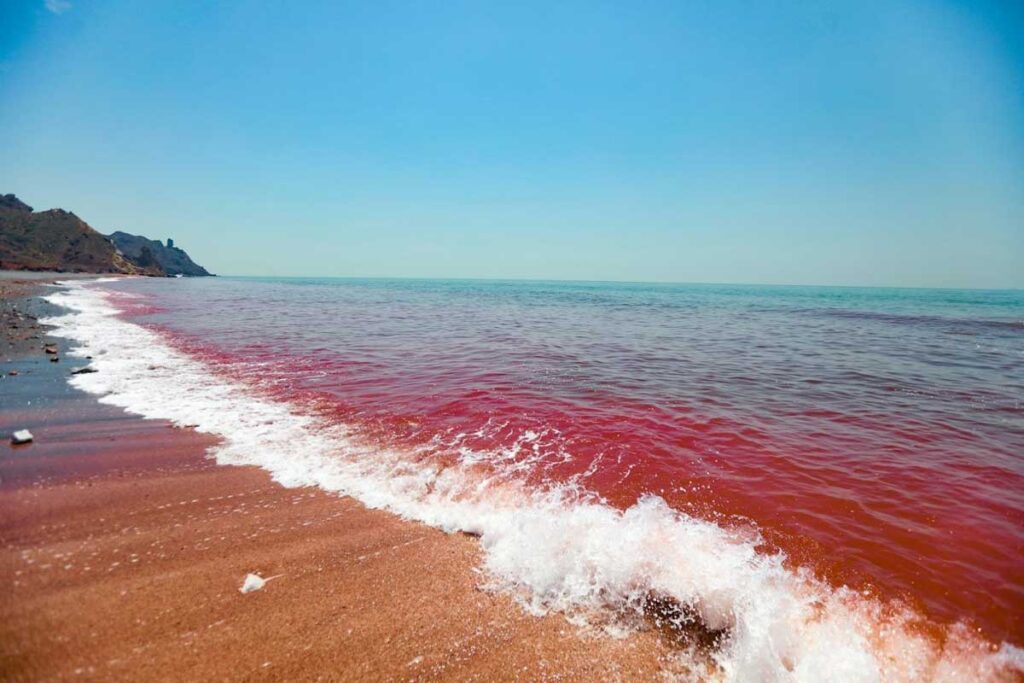 Stunning contrast of multicolored sands and waters on the beach of Hormuz Island