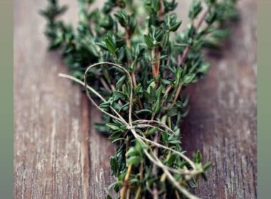 What do you know about the reason behind the use of thyme in Iranian food recipes?