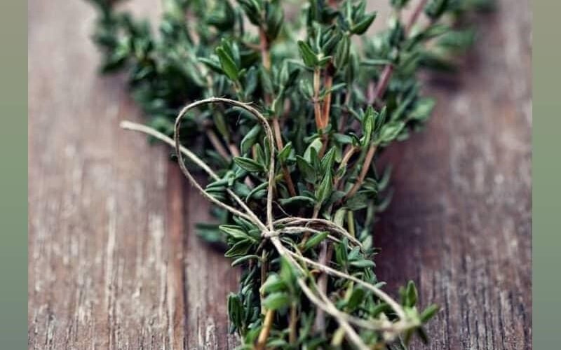 What do you know about the reason behind the use of thyme in Iranian food recipes?
