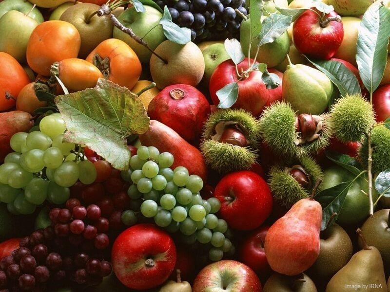 Fruits of organic agriculture in Iran