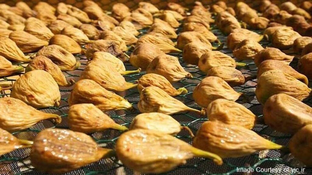 Traditional methods of food preservation in Iran, drying fruit