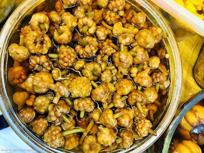 traditionally fermented pickled garlics in Iran