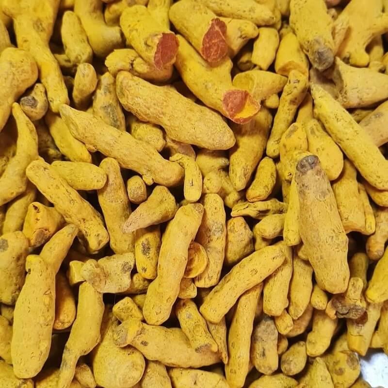 How to use turmeric herb