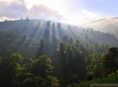Visit Masal during Iran's summer holidays