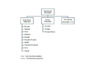 Branches of Indo-Iranian languages