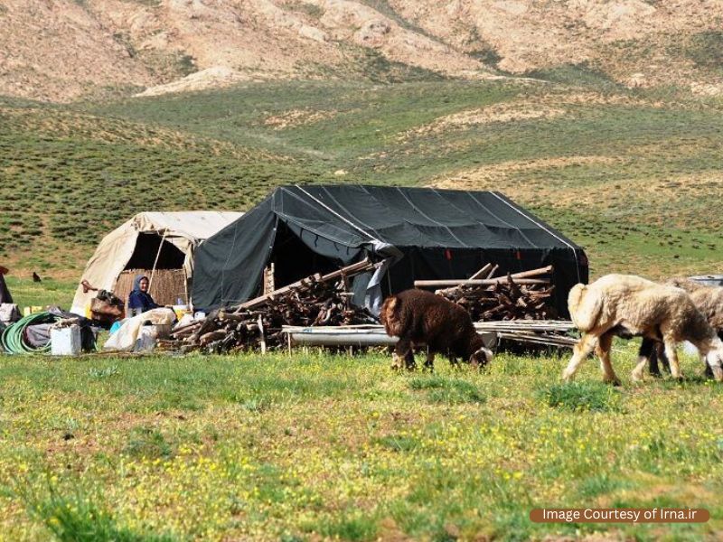 Nomad Style of living