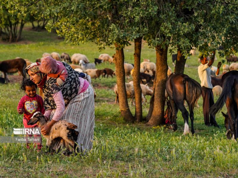 Iran Nomad Tour Shahsavar