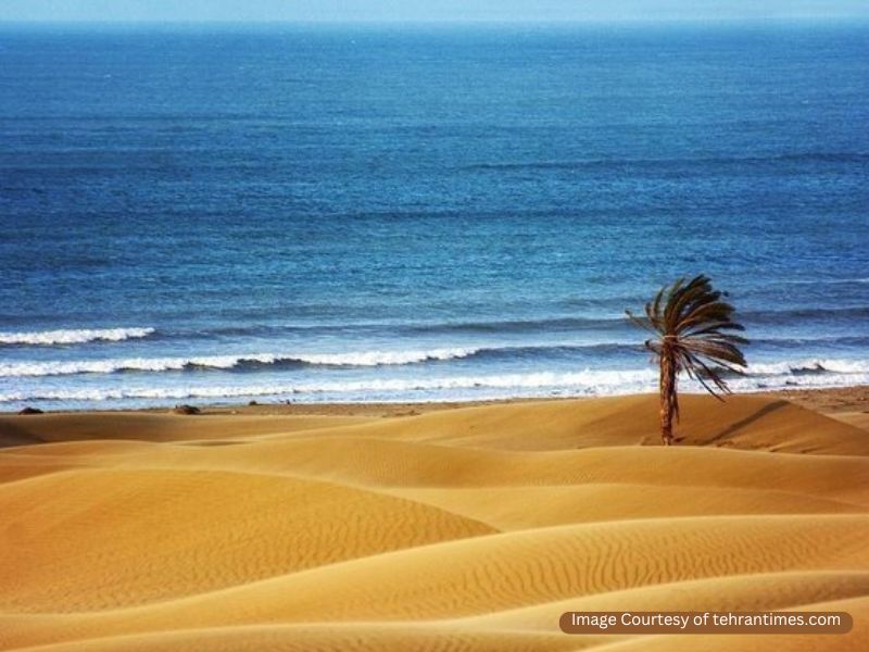 Darak Desert Tour in Iran