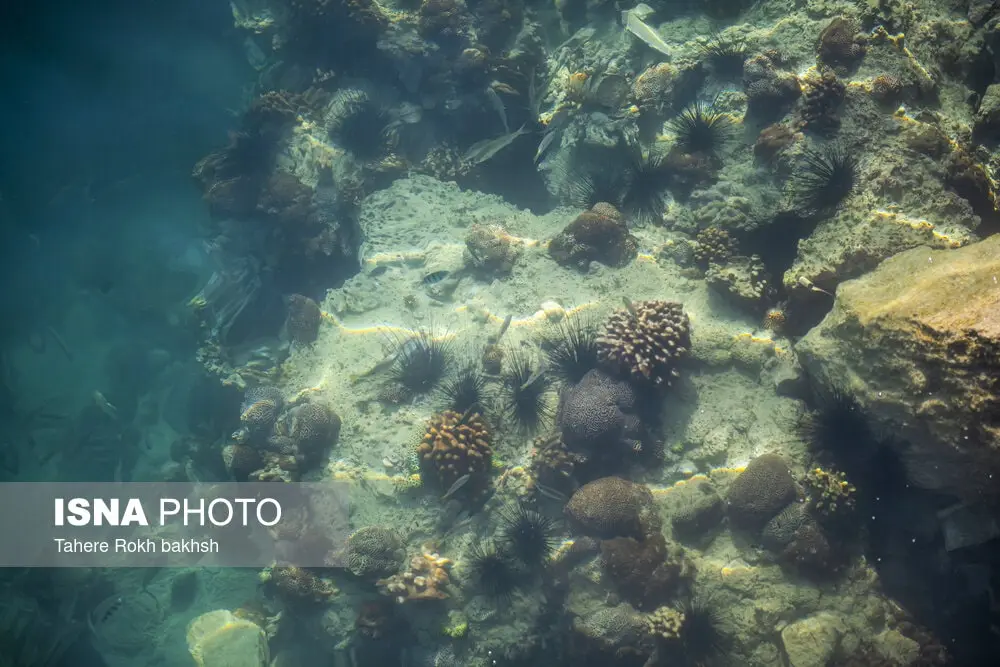 Hangam Island Tour in Fall