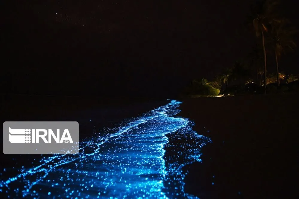 larak Island in Iran