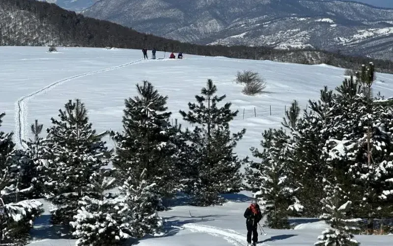 Ski Touring Adventures