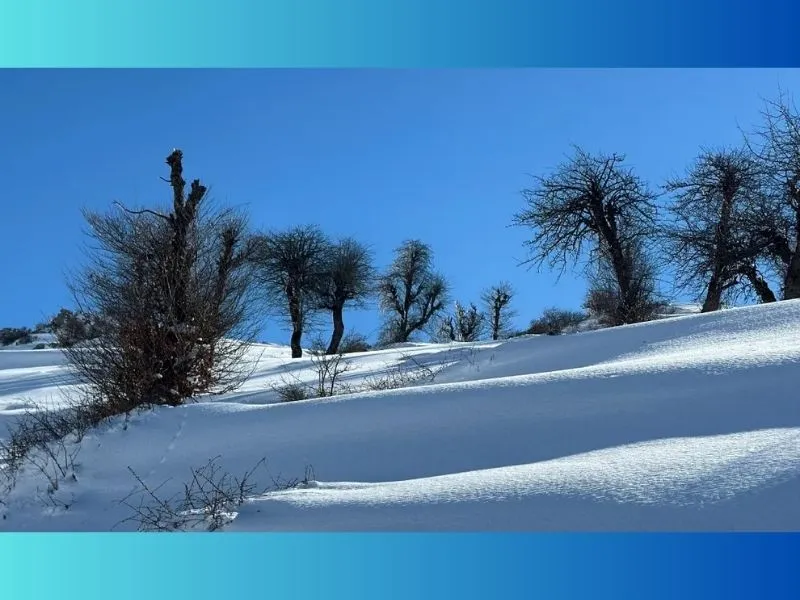 backcountry ski in Iran