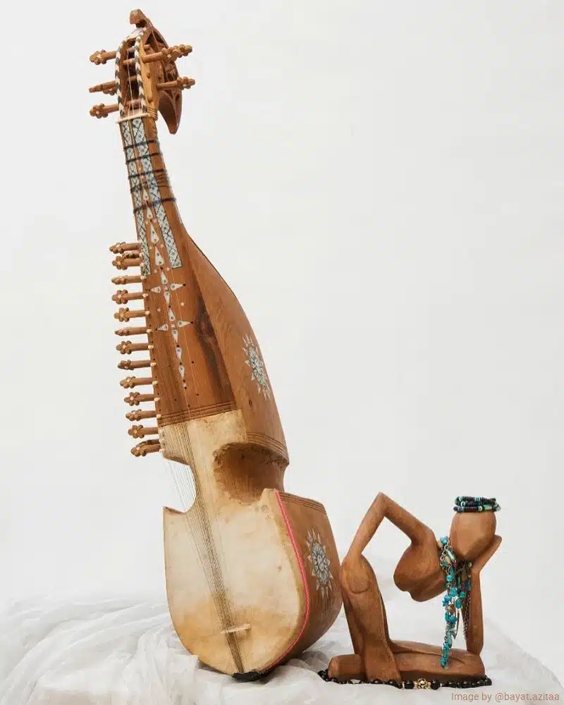 Rubab Instrument